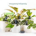 Plant with Willow Smart Indoor Plant Sensor Urban Jungle Pack Charcoal, 5 Sensors