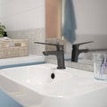 HomeCare by Caroma Black Matte Assistant Living Basin Mixer, 6L/min 5 Star WELS