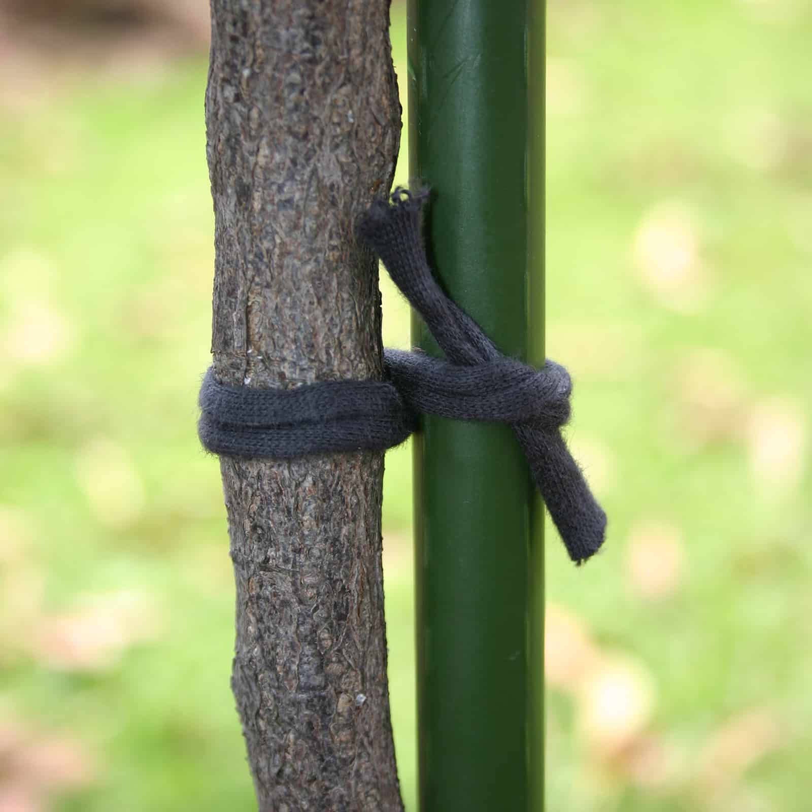 Jack 40m Traditional Cloth Plant Tie