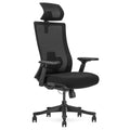Lifespan Fitness DM9 Ergonomic Mesh High Back Office Chair - Adjustable Lumbar, 3D Armrests - LFOC-DM9BK-1
