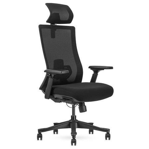 Lifespan Fitness DM9 Ergonomic Mesh High Back Office Chair - Adjustable Lumbar, 3D Armrests - LFOC-DM9BK-1