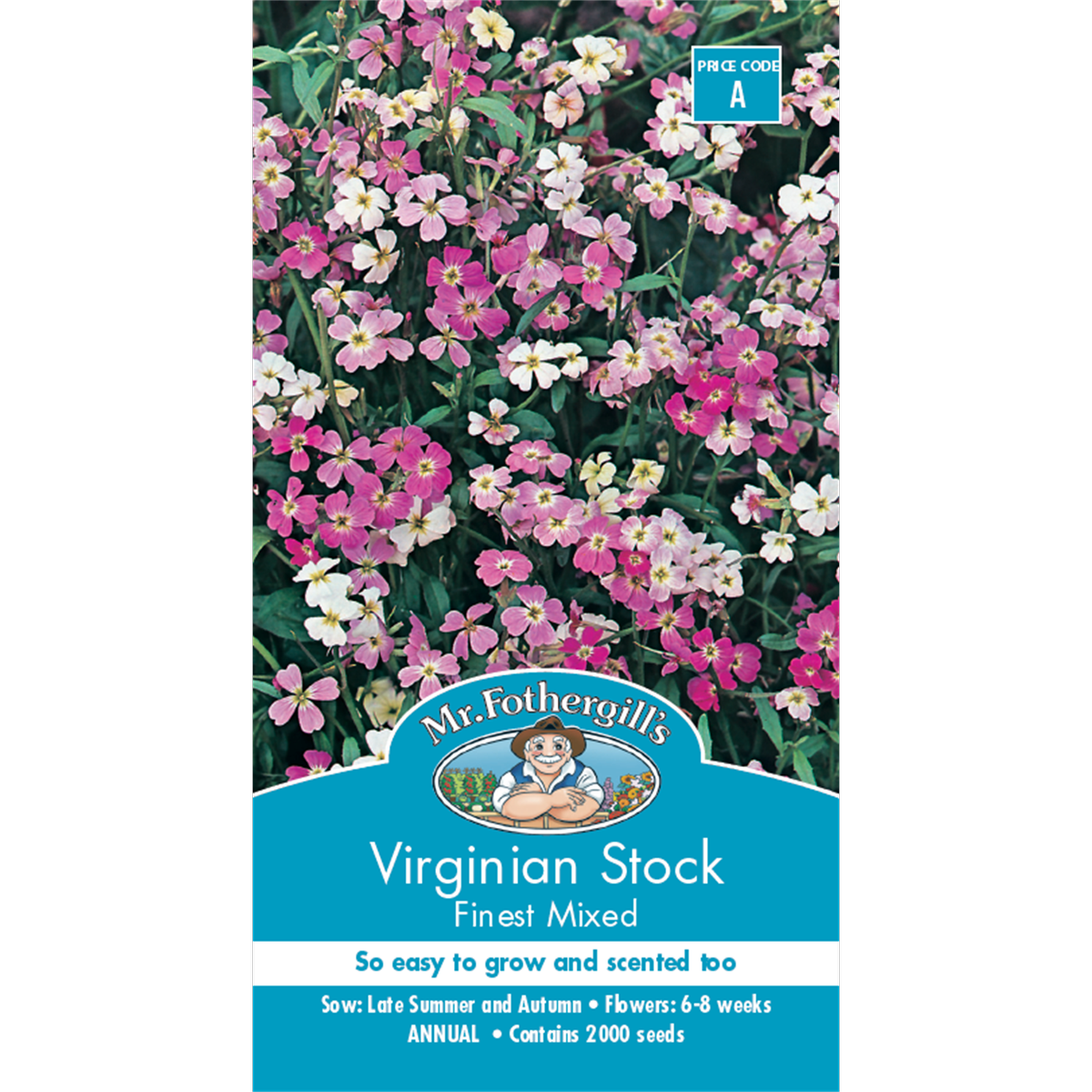 Mr Fothergill Virginian Stock Flower Seeds 75mm Hardy Scented Blooms - SuperSaverAU - view 1