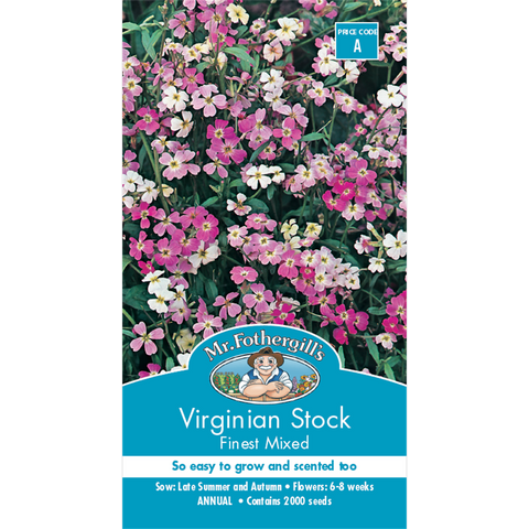 Mr Fothergill Virginian Stock Flower Seeds 75mm Hardy Scented Blooms - SuperSaverAU - view 1