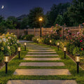 Click Canyon Solar LED Pathway Light Black Stainless Steel