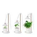 Home Grown Grow Table Lamp - 40cm - Beech Wood - Full Spectrum Light - SuperSaverAU - view 3