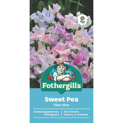 Mr Fothergill's Sweet Pea Tiller Girls Flower Seeds, Scented Striped Blooms