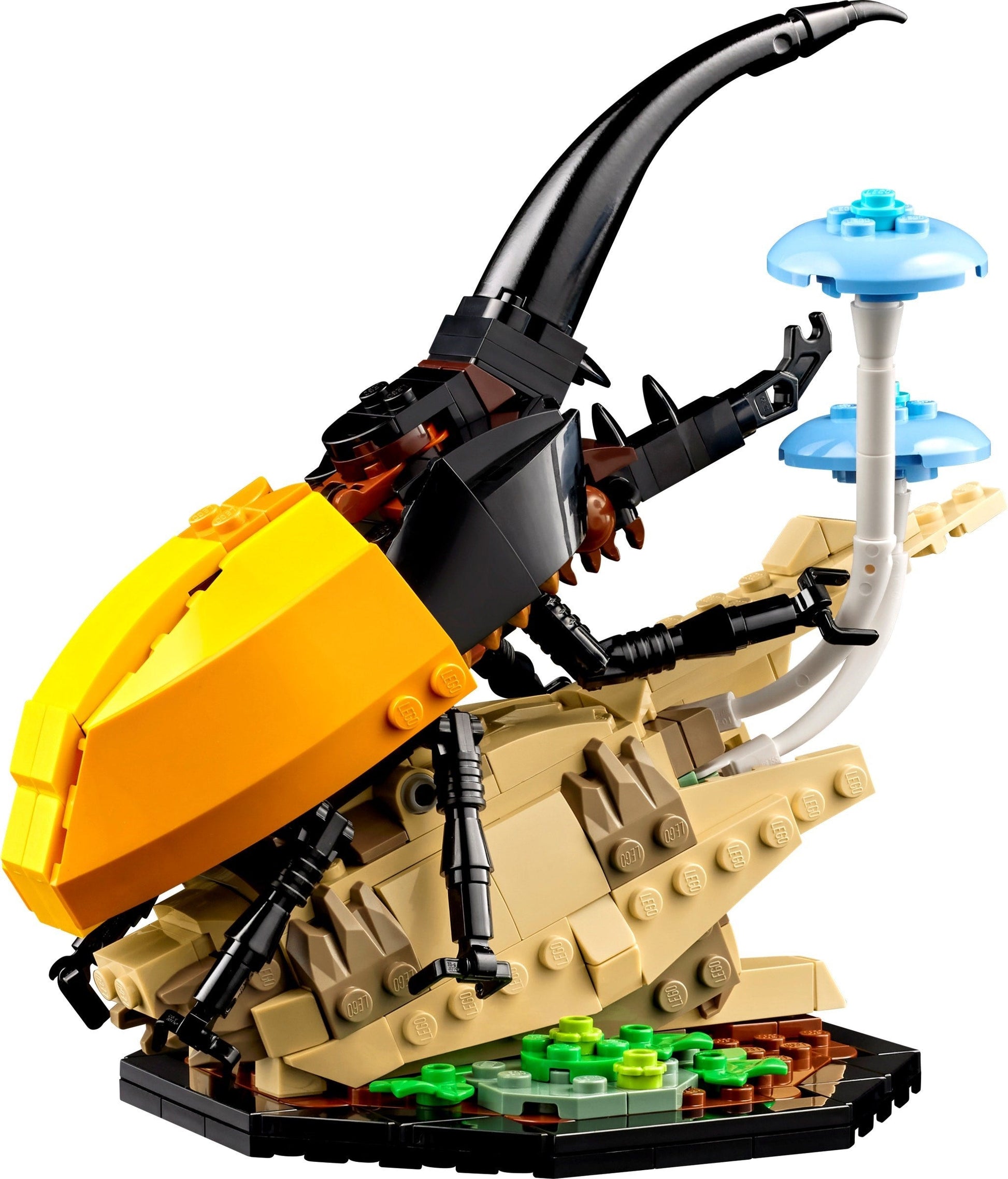 LEGO Ideas Series 21342 The Insect Collection- Auzzi Store