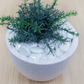 Tuscan Path 45-50mm 1kg White Aztec Glass Decorative Pebbles