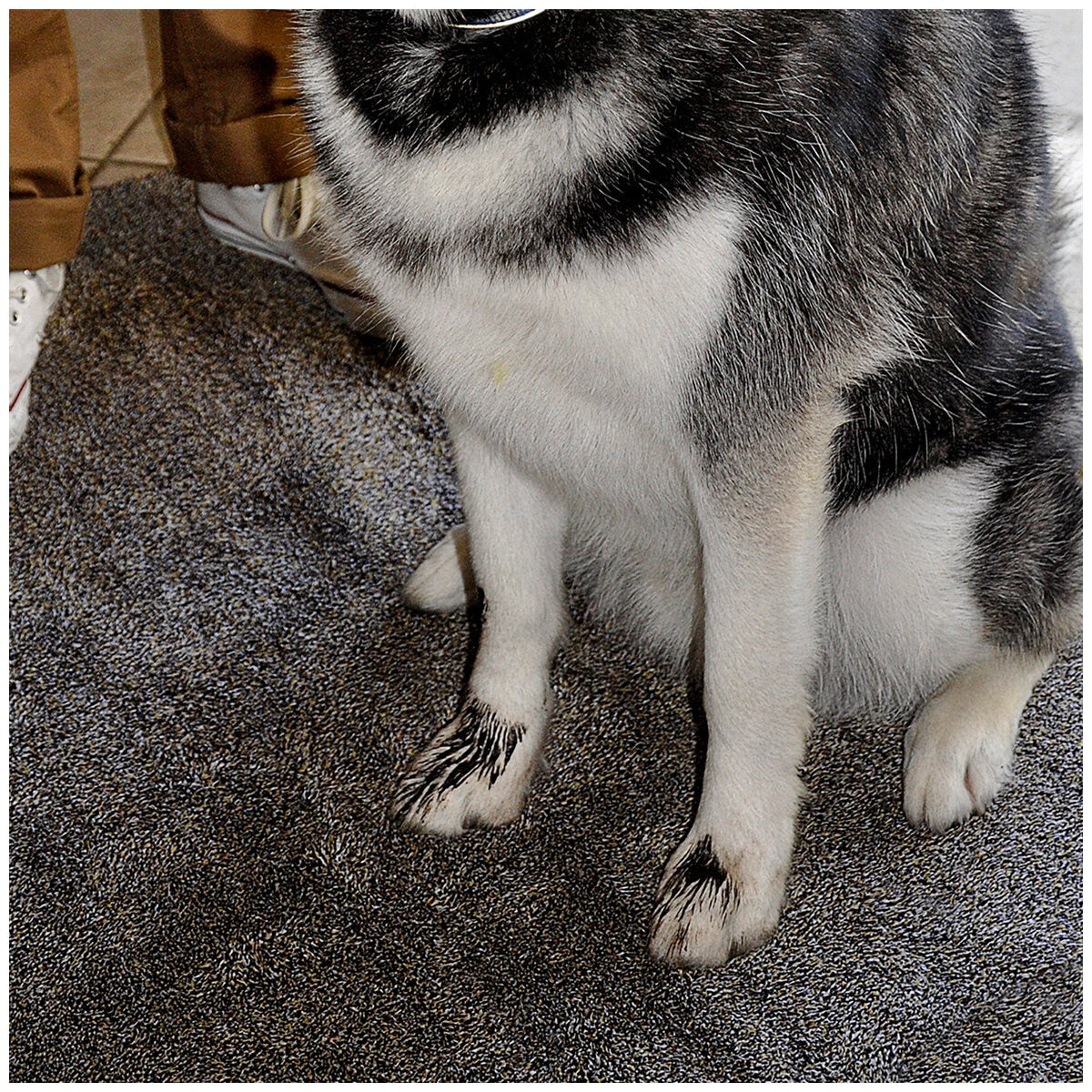 Eurow Microfibre Trek 'N' Clean Mat