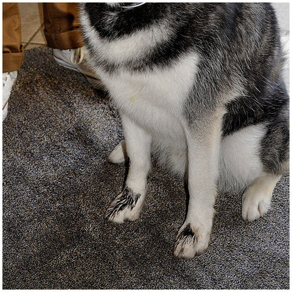 Eurow Microfibre Trek 'N' Clean Mat