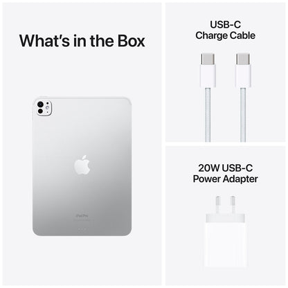 iPad Pro 11 Inch Wi-Fi 256GB Standard Glass Silver M4