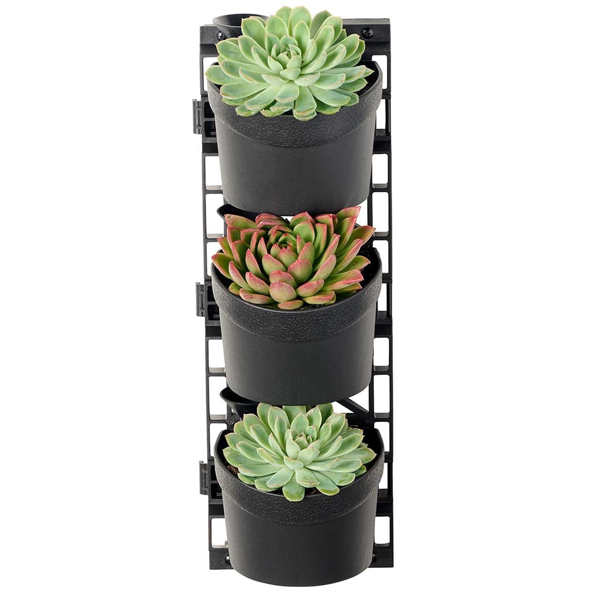 Maze TRI Vertical Garden With 4 Frames And 12 Pots