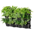 Maze TRI Vertical Garden With 4 Frames And 12 Pots - SuperSaverAU - view 1