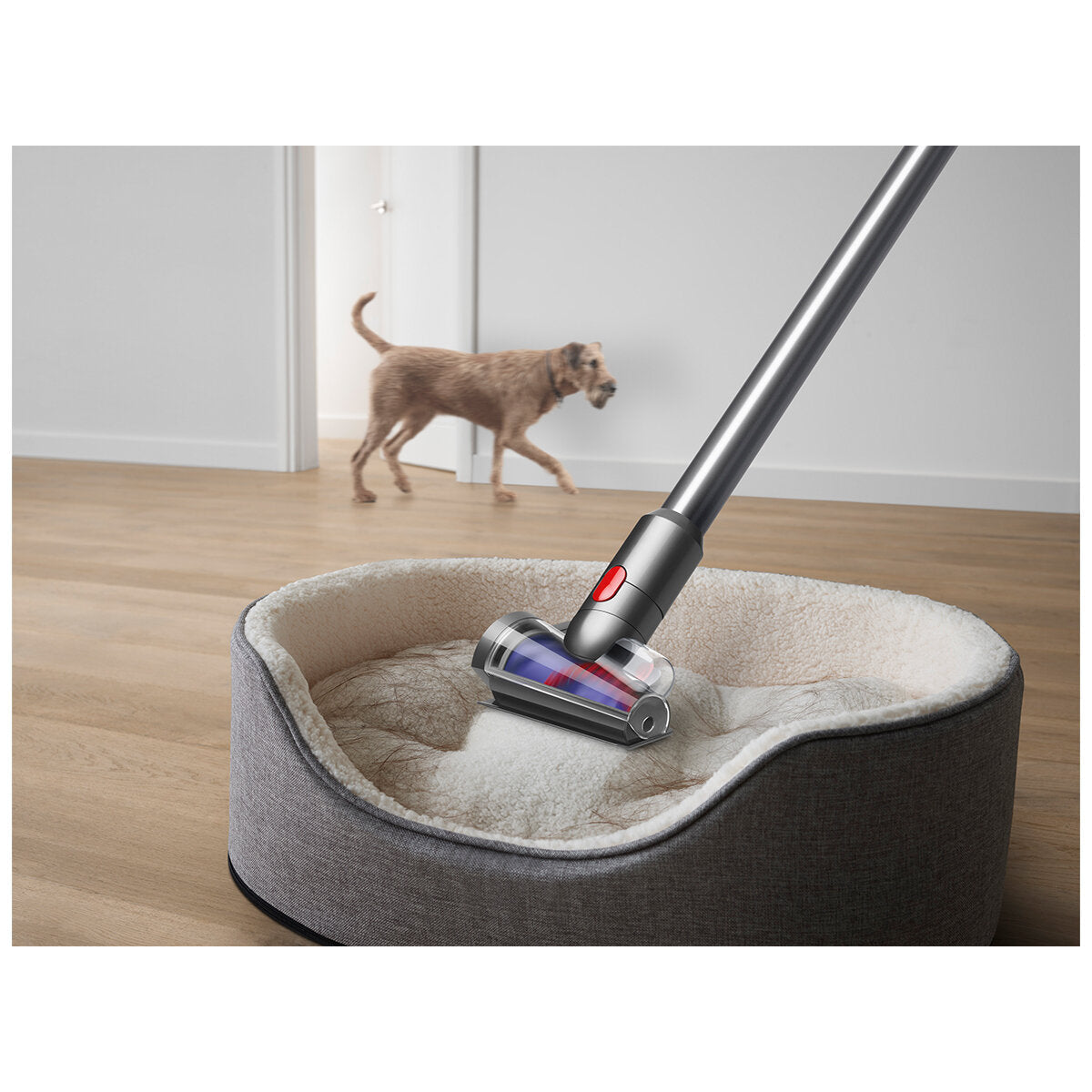Dyson V15 Detect Absolute 447955-01 Cordless Vacuum Cleaner with Laser Dust Detection - SuperSaverAU - view 11