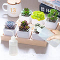250 ml Squeeze Bottle Set, Tattoo Wash Bottles, Pack of 3 - view 5
