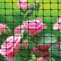 Jack Supa-Net 600mm x 10m Fine Black Pest Control Mesh
