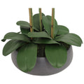 CG Hunter Faux Phalaenopsis Orchid Arrangement Pink 61cm - SuperSaverAU - view 3