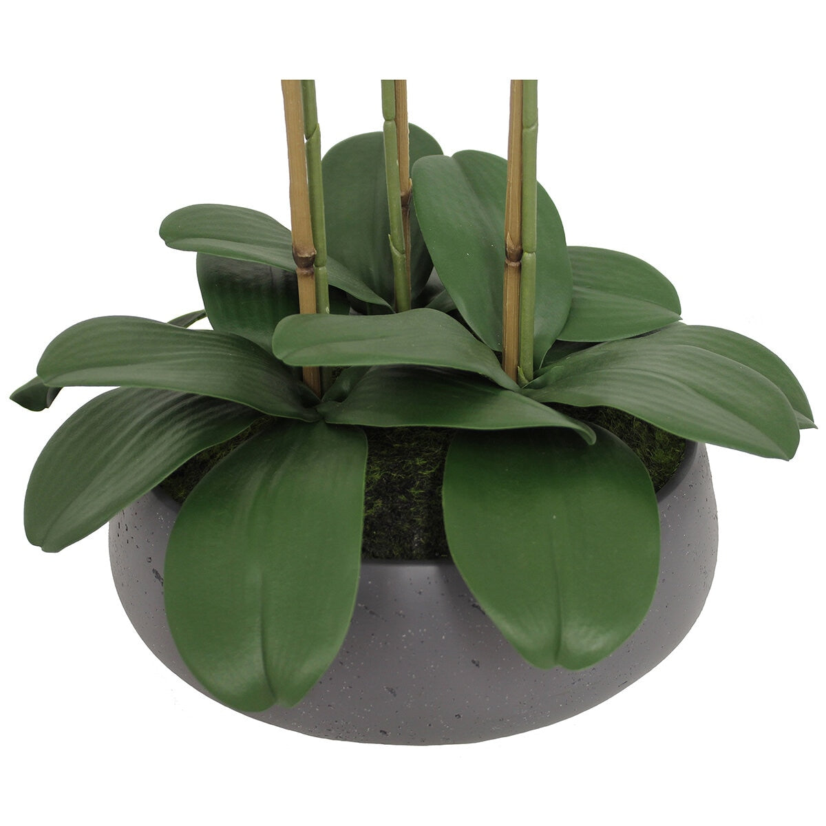 CG Hunter Faux Phalaenopsis Orchid Arrangement Pink 61cm - SuperSaverAU - view 3