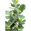 CG Hunter Faux Slim Fig Tree 2M - SuperSaverAU - view 3