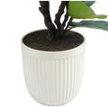 CG Hunter Faux Slim Fig Tree 2M - SuperSaverAU - view 4