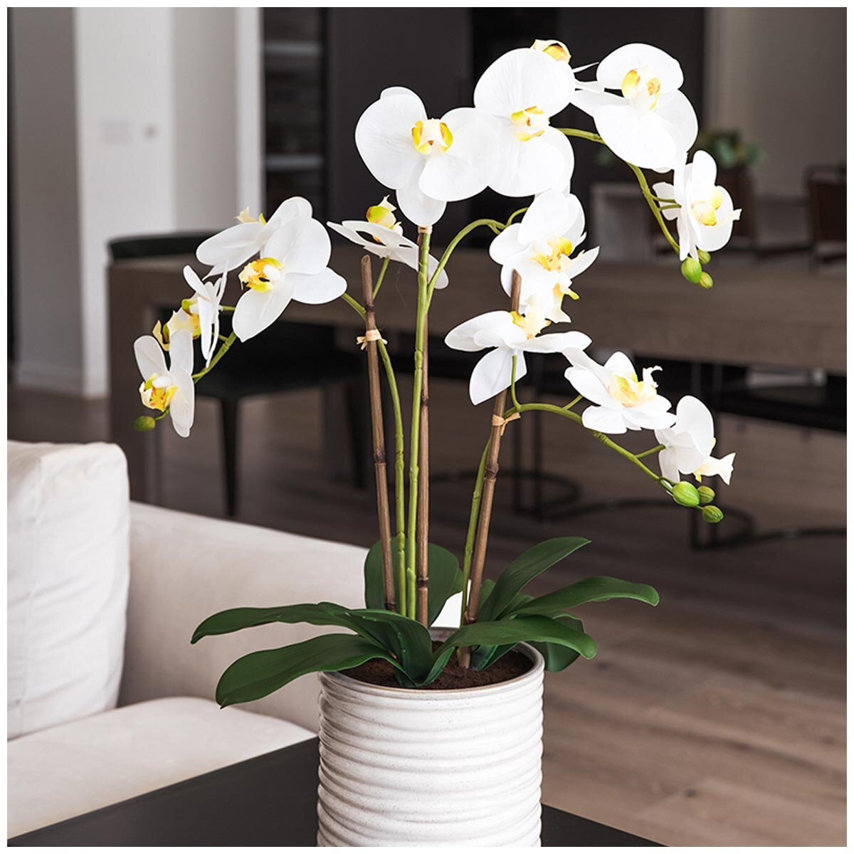 CG Hunter Faux Orchid With Ribbed Pot White