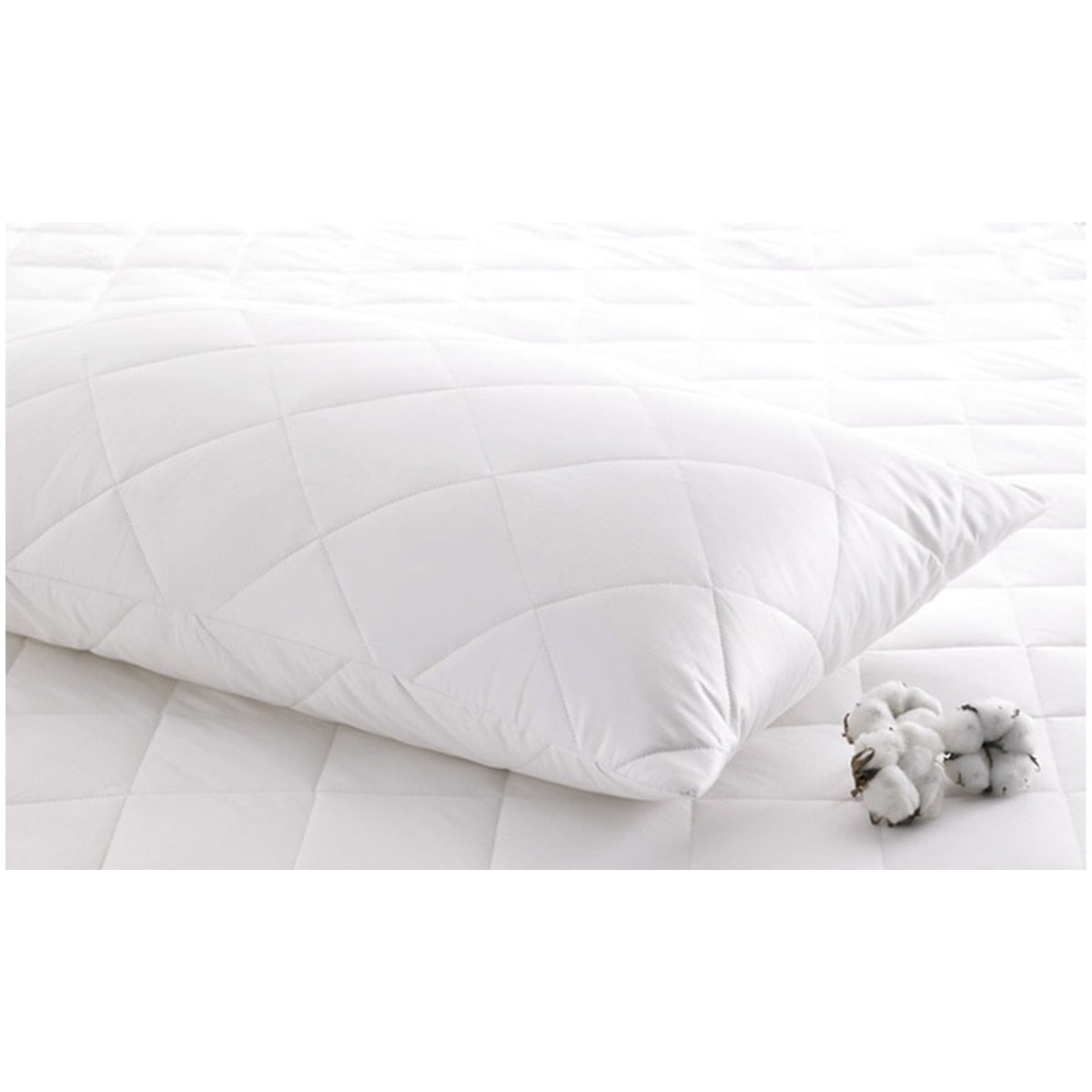 Ramesses Fitted Cotton Single Mattress Protector - SuperSaverAU - view 1
