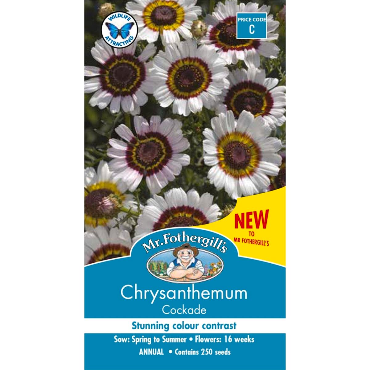 Mr Fothergill Chrysanthemum Cockade - Seeds - Attracts Bees & Butterflies - SuperSaverAU - view 1