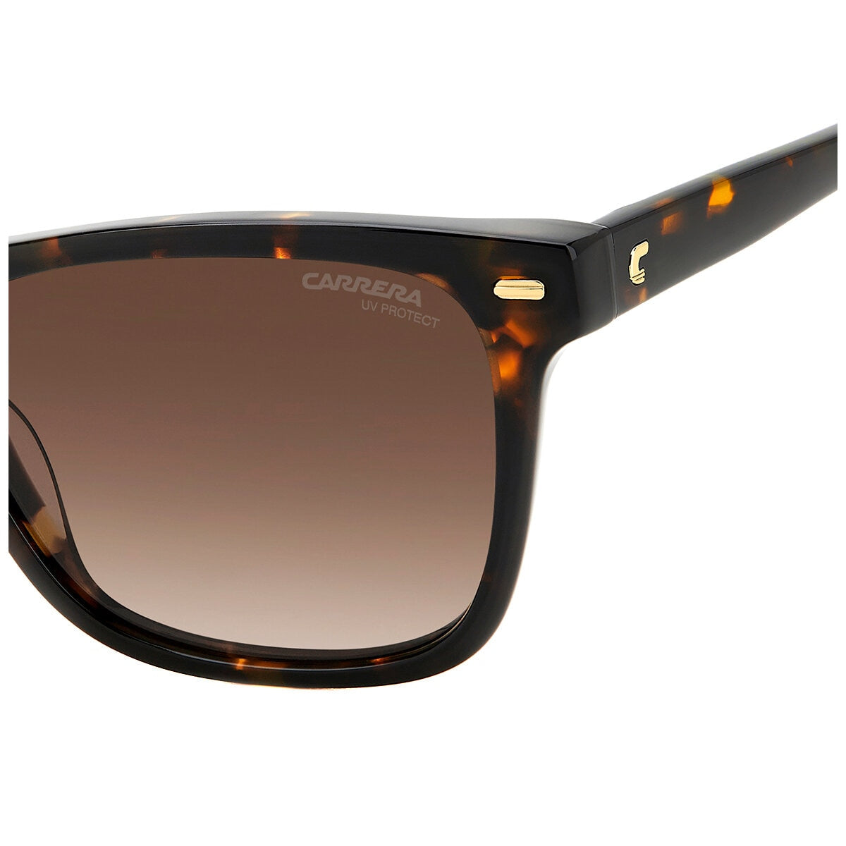 Carrera 3001/S Women's Sunglasses Brown