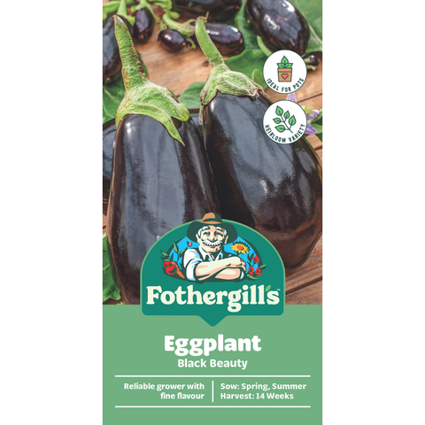Mr Fothergill's Black Beauty Eggplant Vegetable Seeds