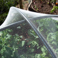 Backyard Farmer Anti Bird Net - 2.5m x 2.5m - White - UV-Resistant HDPE - SuperSaverAU - view 4