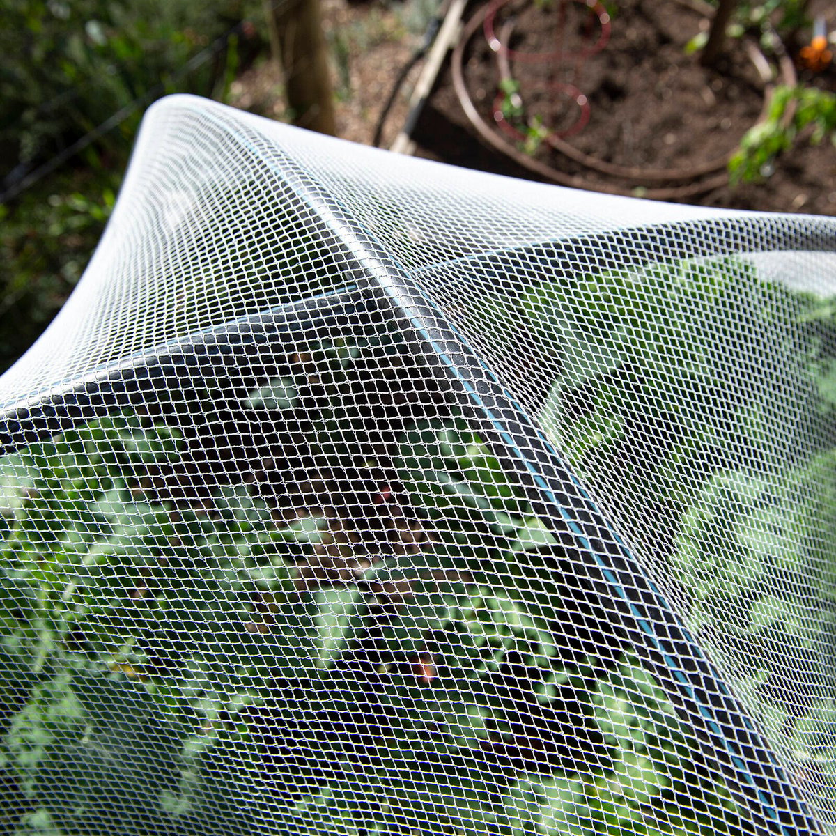 Backyard Farmer Anti Bird Net - 2.5m x 2.5m - White - UV-Resistant HDPE - SuperSaverAU - view 4