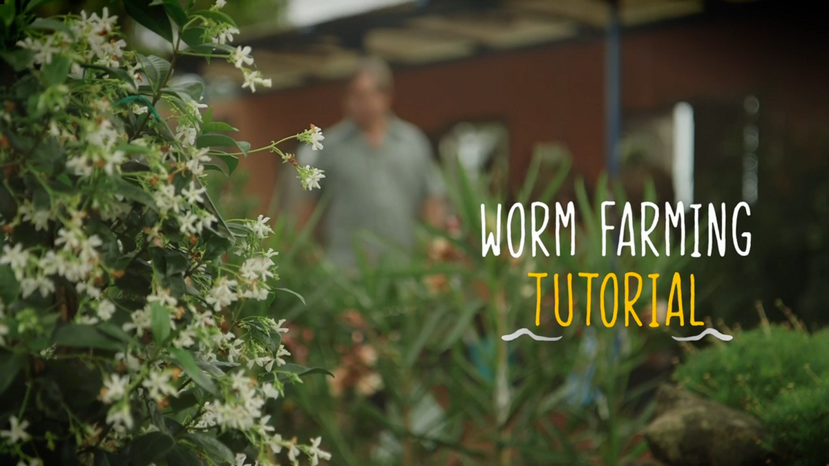 Tumbleweed Worm Farm Bedding Block - Coconut Fibre - 100% Natural - Moisture Retention - SuperSaverAU - view 3