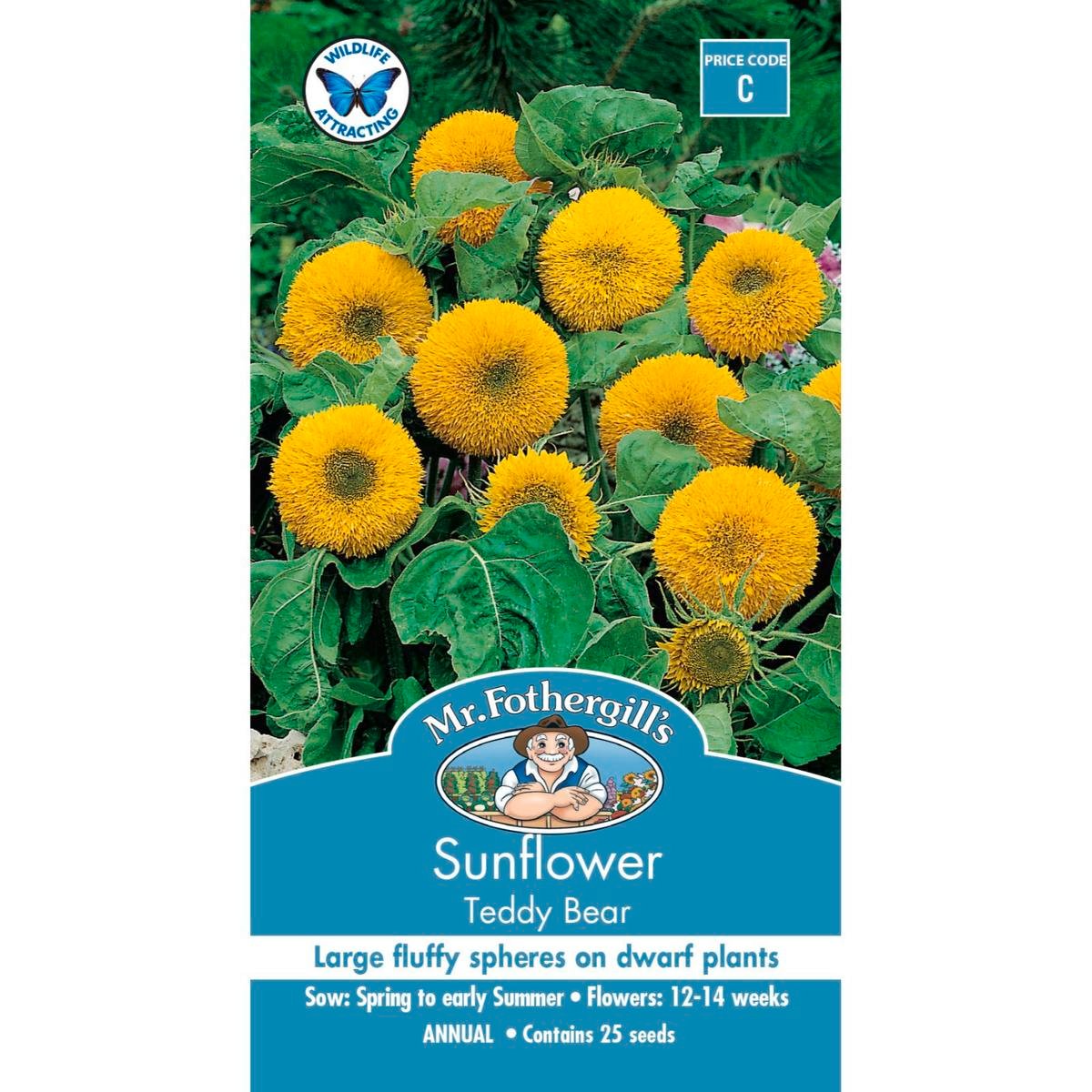Mr Fothergill Sunflower Teddy Bear Seeds - 75mm - Easy To Grow - Attracts Pollinators - SuperSaverAU - view 1