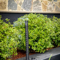 Santalum 47cm Large Incense Stick Diffuser - Metal Outdoor