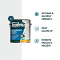 Taubmans 4L Accent Gloss Water Based Enamel Paint