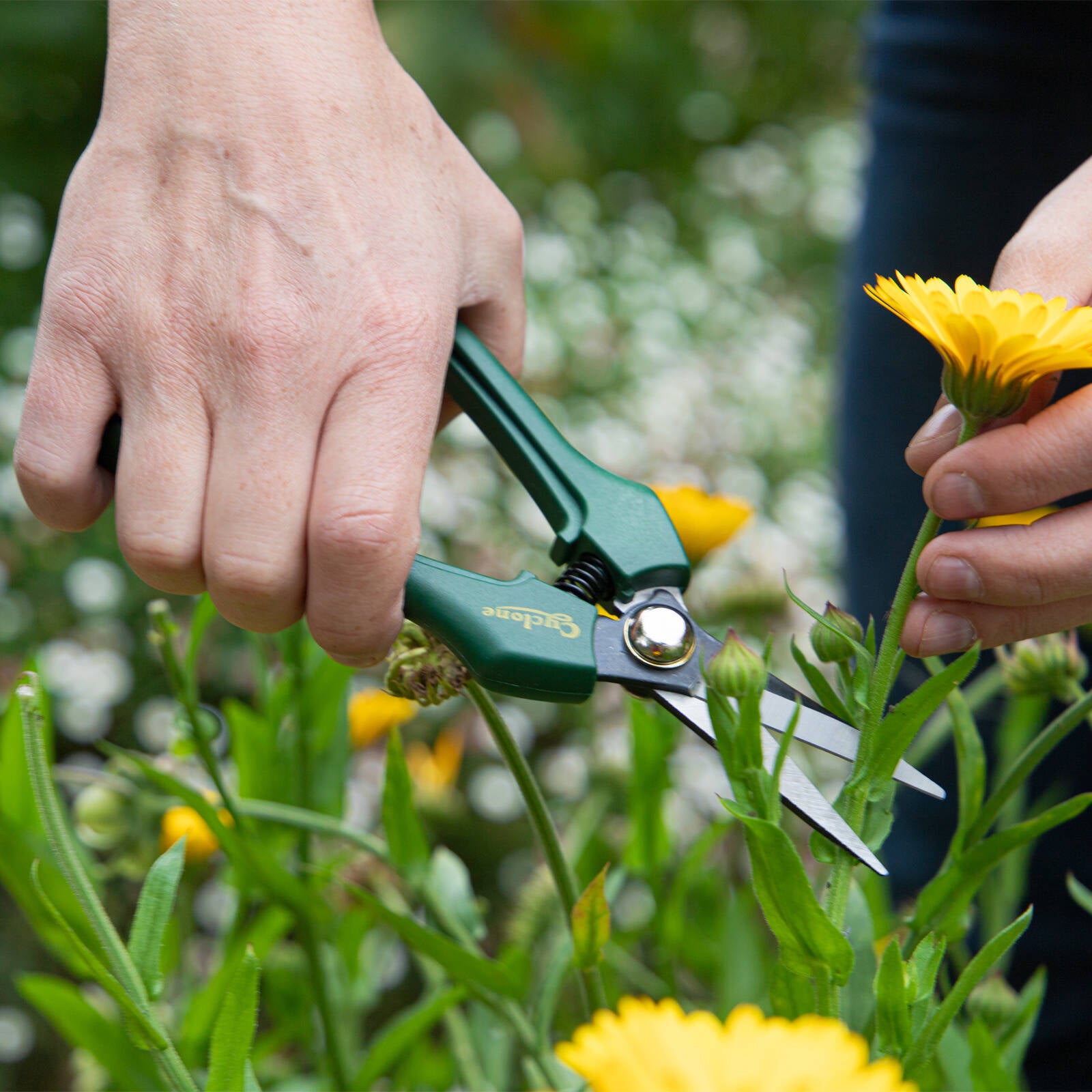 Cyclone Pruner Floral Snips, 80mm Steel Blade, Polypropylene Handle, Snap Lock, Corrosion-Resistant