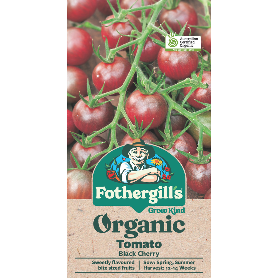 Mr Fothergill's Tomato Black Cherry Seeds, Sweet Mahogany Cherry Tomatoes, Sun or Part Shade