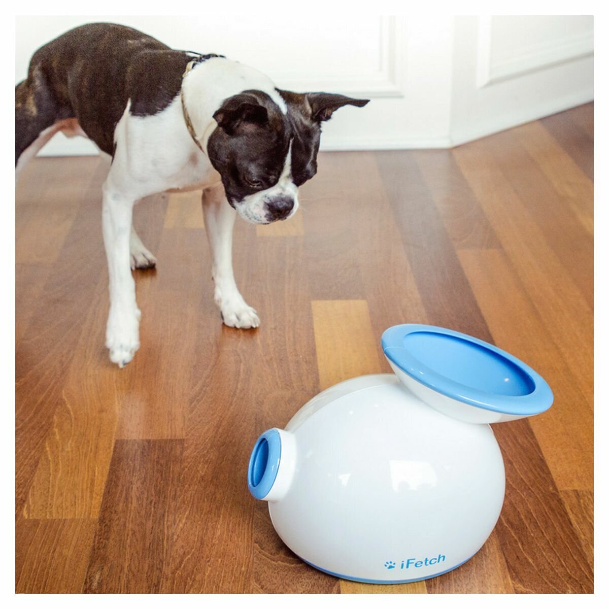 iFetch Original Ball Launcher - 3m, 6m or 9m Distances, Indoor or Outdoor, Small to Medium Dogs - 5002