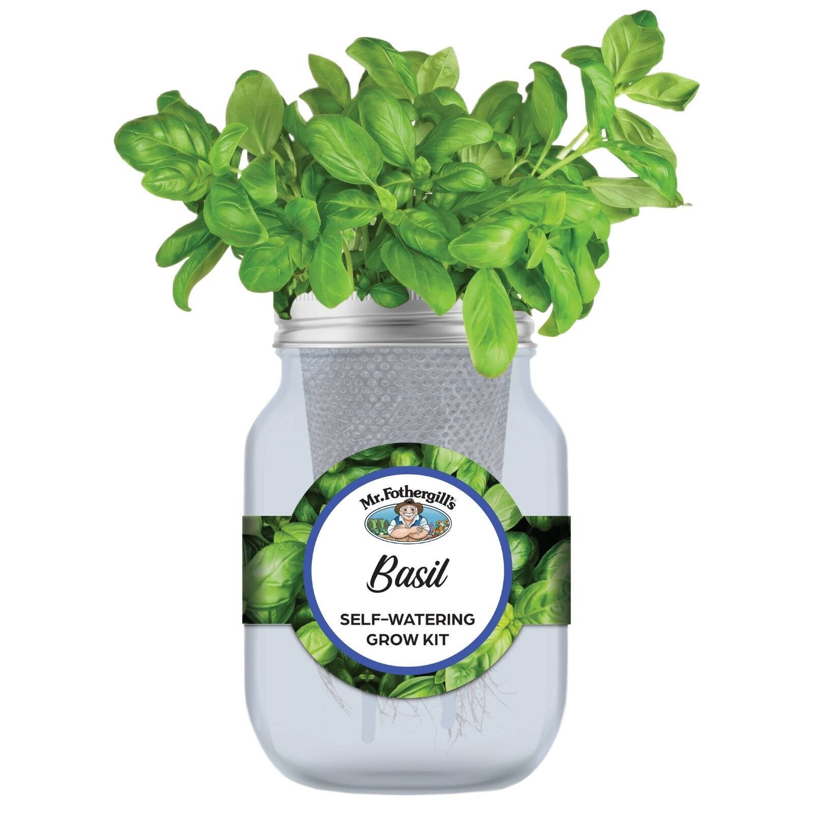 Mr Fothergill's Basil Self Watering Mason Jar Grow Kit