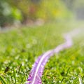 Nylex 12mm x 7.5m Recycled Water Soaker Hose Purple
