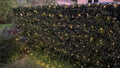 Lytworx Solar Net Lights - 0.8x5m - Copper - 600 LEDs - Outdoor Use - SuperSaverAU - view 3