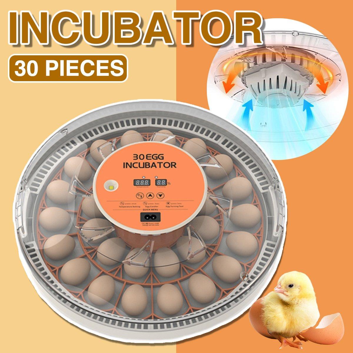 30 Egg Automatic Incubator with Egg Turning and LED Candling