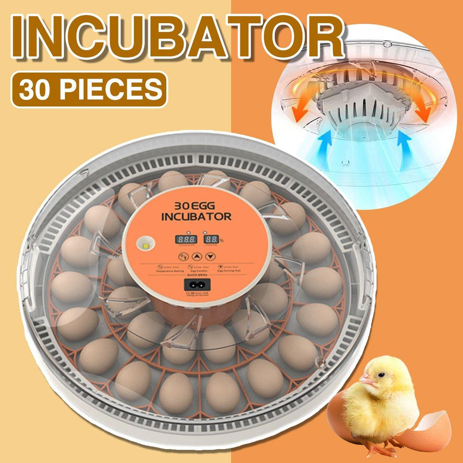 30 Egg Automatic Incubator with Egg Turning and LED Candling