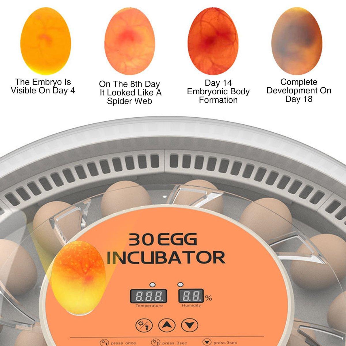 30 Egg Automatic Incubator with Egg Turning and LED Candling - view 6