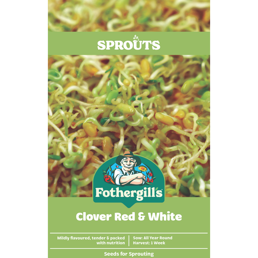 Mr Fothergill's Sprouts Alive Clover Red and White Seeds - Nutritious Sprouting Blend