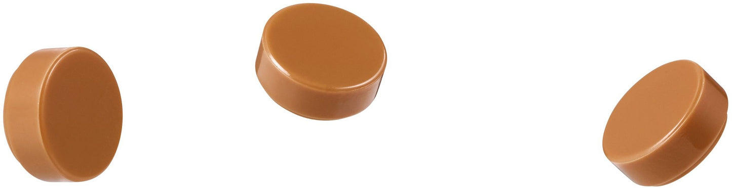 LEGO 31031 Rainforest Animals 3-in-1 Parrot, Frog & Fly