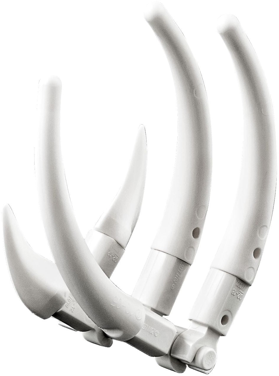 LEGO 31058 Creator Series Series Mighty Dinosaurs- Auzzi Store