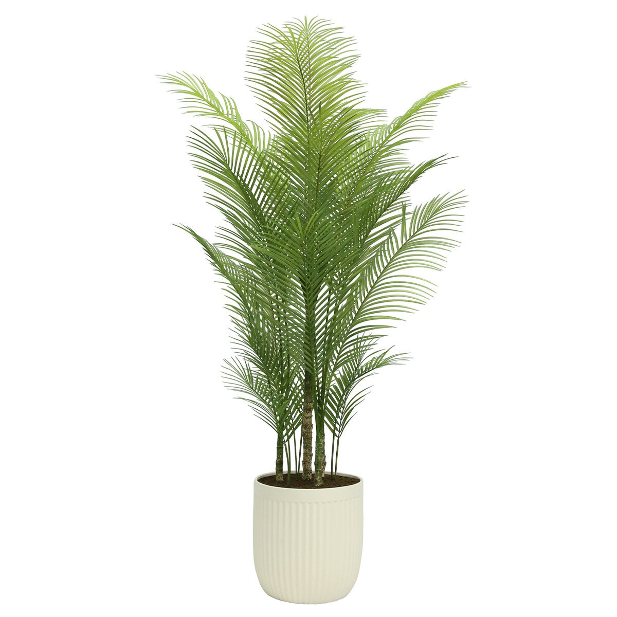 CGH Artificial Palm Tree In Ribbed Pot 2M | Lifelike, High-Quality, Hassle-Free Maintenance | Artisan Style Planter - SuperSaverAU - view 3
