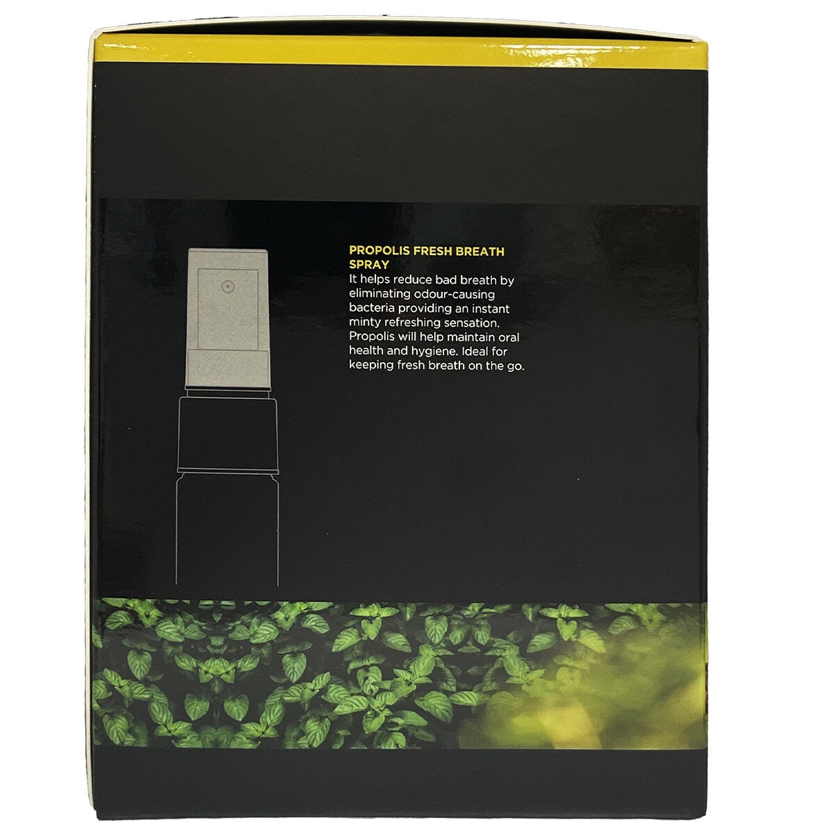 Nature's Care Propolis Fresh Breath Spray 6 x 20ml