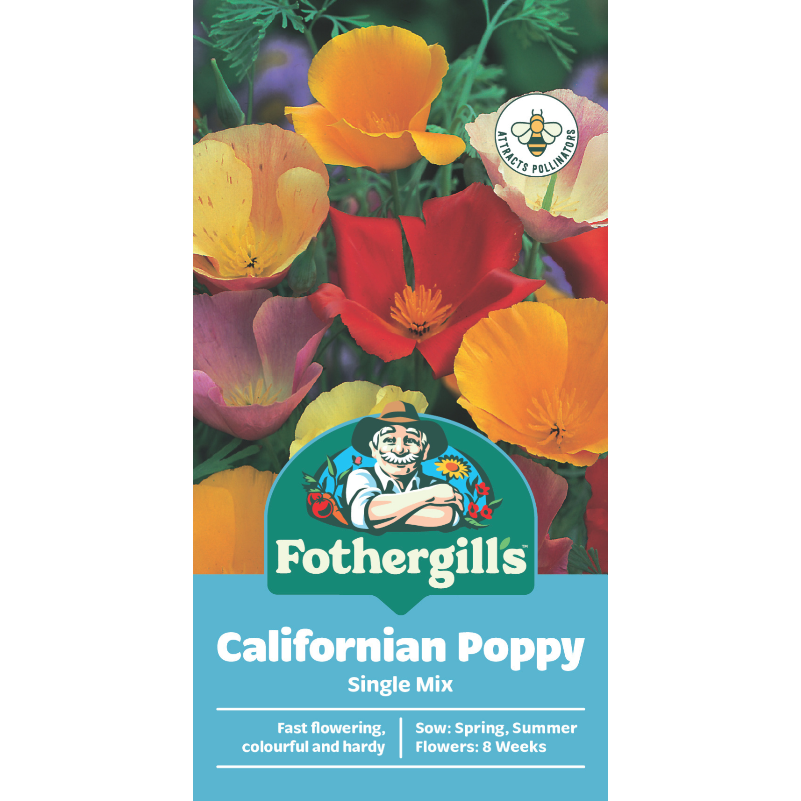 Mr Fothergill's Californian Poppy Single Mixed Flower Seeds - Hardy Summer Annual
